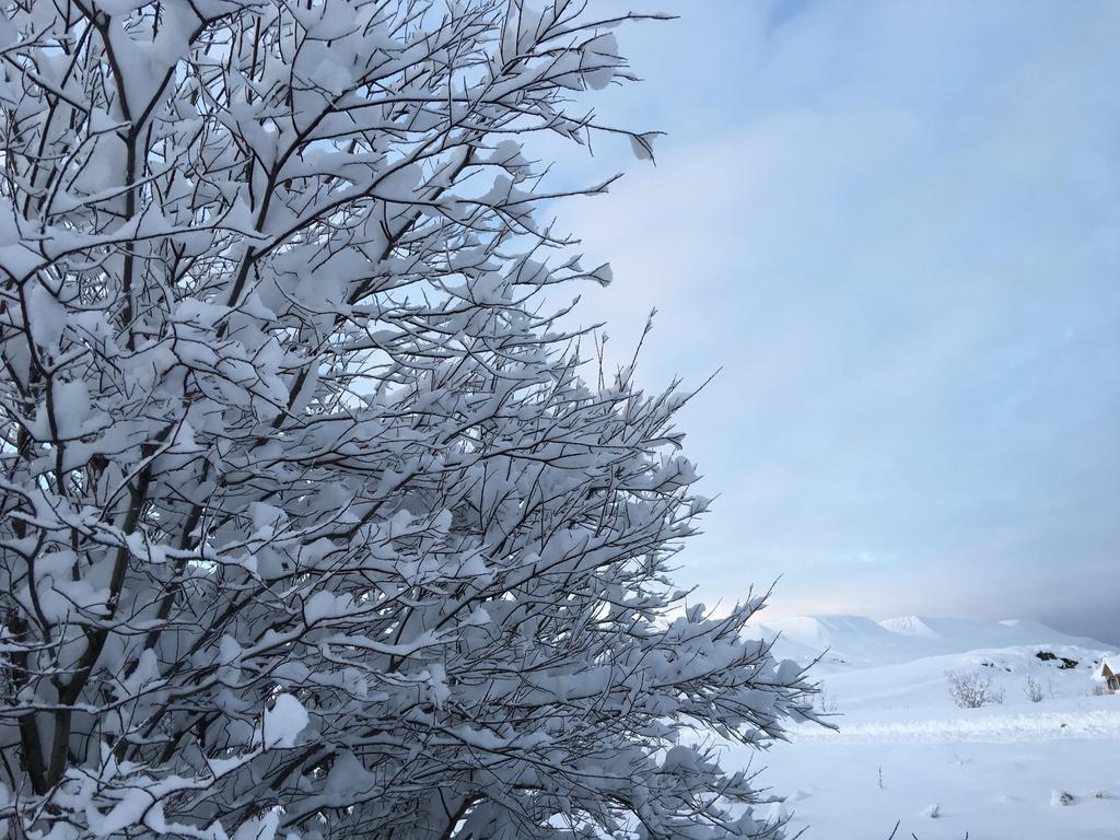 Aurora Vacation Homes Fagravik Akureyri Zewnętrze zdjęcie